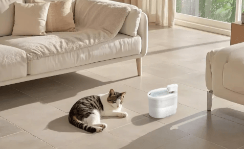 Why Is My Cat Avoiding the Litter Box? Hidden Risks You Should Not Ignore